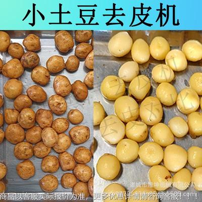 大型全自动小土ZXV豆薯脱皮机 物西红柿马铃去皮机 头红薯芋理削