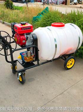 LF-60轻果树杀虫雾器 00升大药桶打药机 喷便手推式打汽油药机