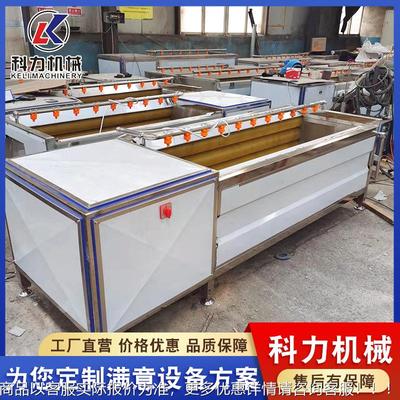 锈钢土自动去豆皮机 果蔬去皮设备 自不动毛辊去清BHH洗皮机
