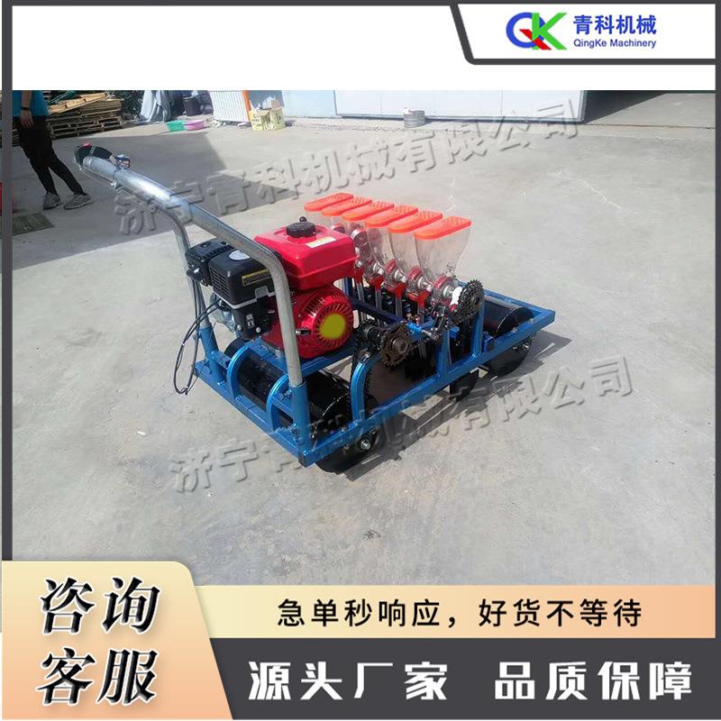 蔬菜花卉播种机 小型手推式果蔬点播机 农用白菜萝卜下种子器