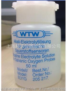 溶解氧电极RL-G清洗液205204电解液205217 ELY/G原装进口