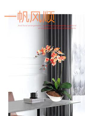 和家pu全手感大蝴蝶兰彷真花白瓷花盆套装书桌茶几窗台摆件假花盆