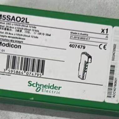 议价TM5SAO2L TM5SAO4L 工控模拟量输模块 12位扩展模块维修