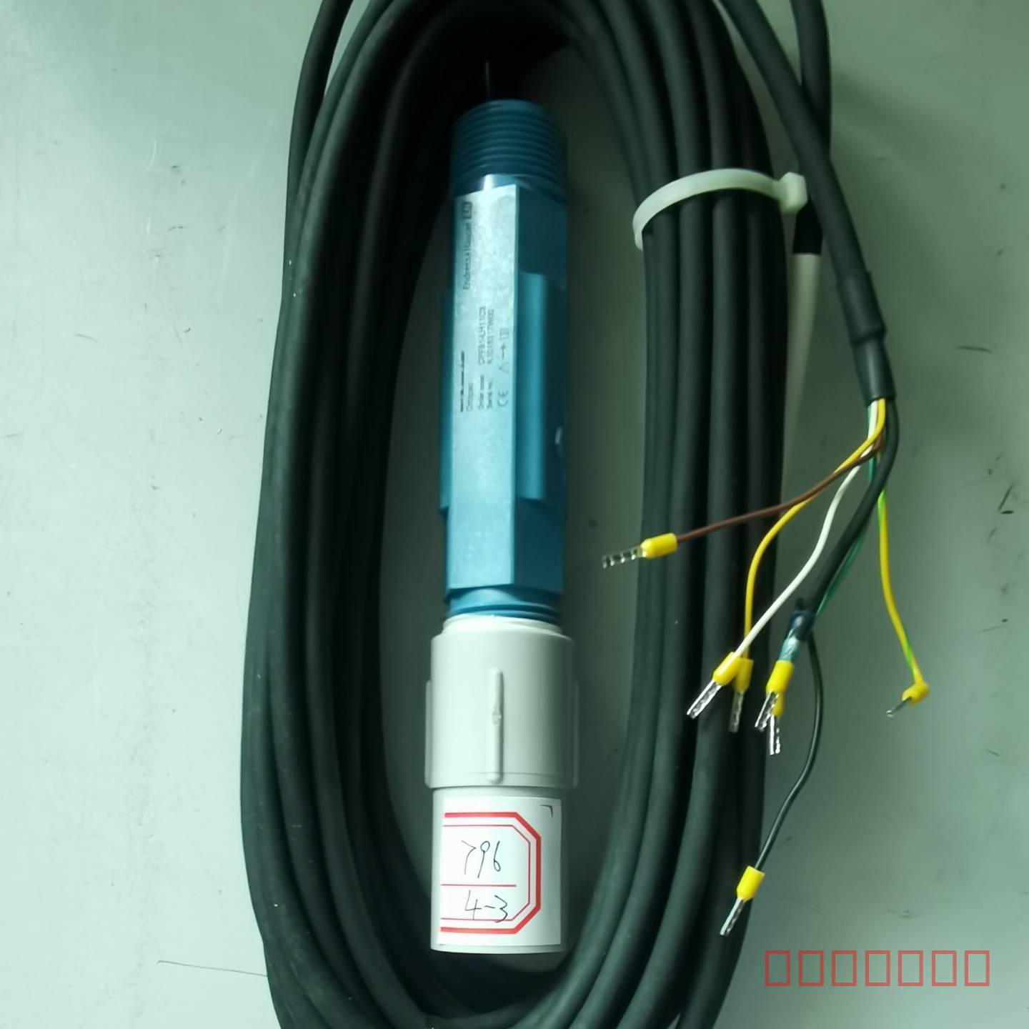 议价E+H恩德豪斯 CPF81-LH11C2电极传感器，维修