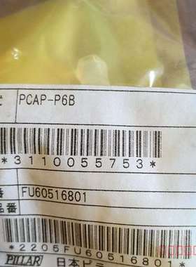 议价PCAP-P6B 皮拉pillar维修