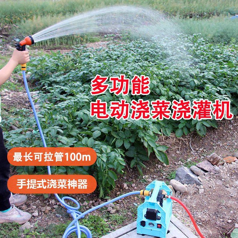 小型充电式抽水泵淋菜浇菜神器浇水机户外农用抽水机12V电瓶无线