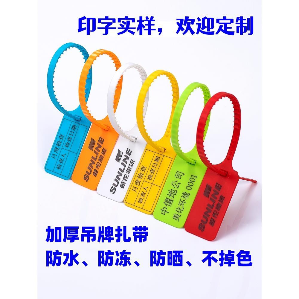 塑料物流封条防盗伪标签锁扣封签标加大号一次性封海钓鱼标牌扎带