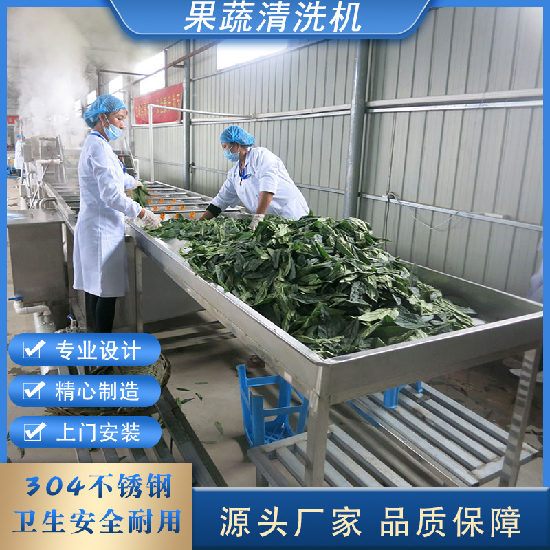 酸菜脱盐气泡清洗机 芥菜青菜去泥沙洗菜机 喷淋鼓泡清洗流水线