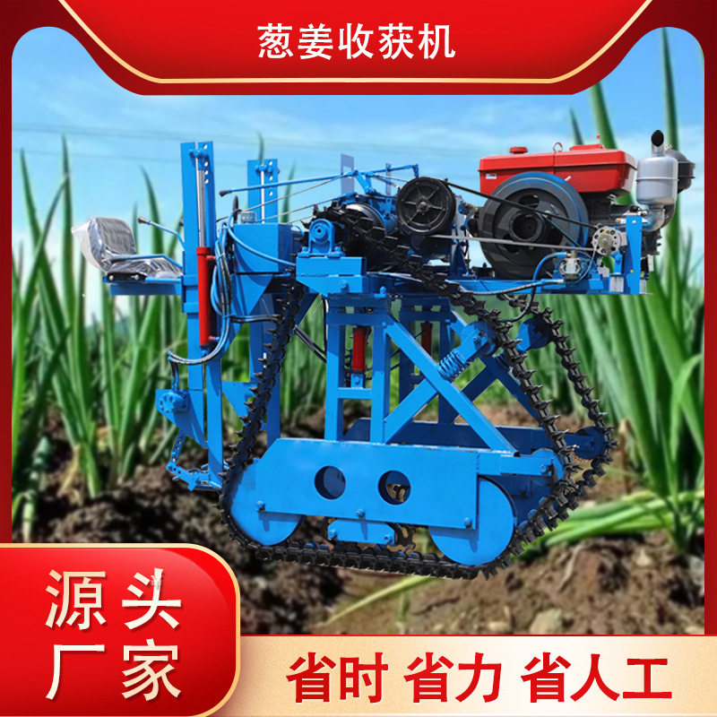 履带式大葱收获机出 35马力乘坐式自动出葱机 挖葱机优质收获机