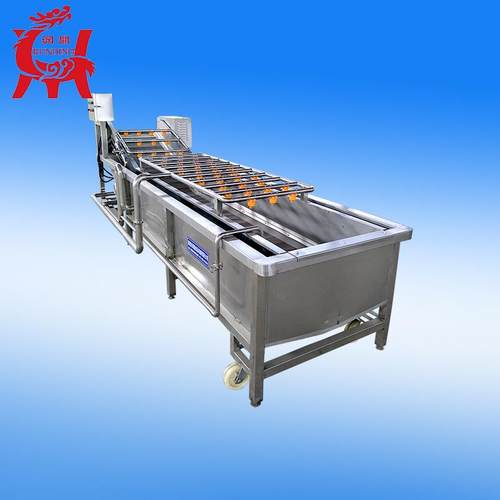 厂家直销清除药物残留清洗机红枣清洗机利用气泡清洗高效设备