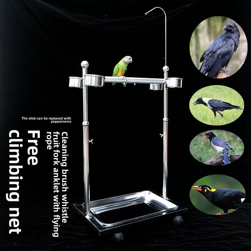 鹦鹉鸟架不锈钢八哥红嘴乌鸦白颈乌鸦蓝喜鹊喜鹊八哥鸽子架