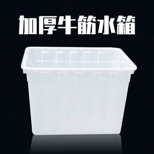 加厚牛筋塑料水箱长方形养鱼水产养殖浅盆家用储水桶大容量塑料桶