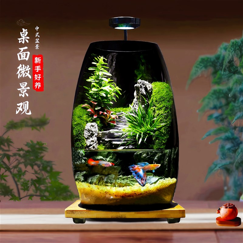 苔藓微景观生态瓶造景植物桌面摆件小世界森林可养鱼雨林生态鱼缸