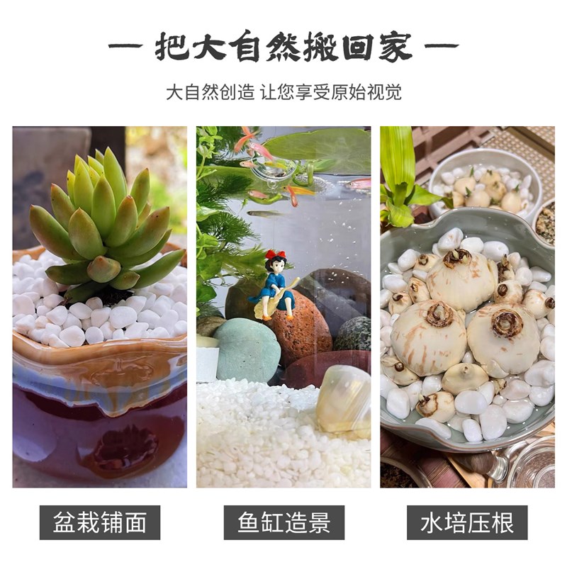庭院白石子抛光暖白色鹅卵石铺地造景天然砾石颗粒装饰花园小石头