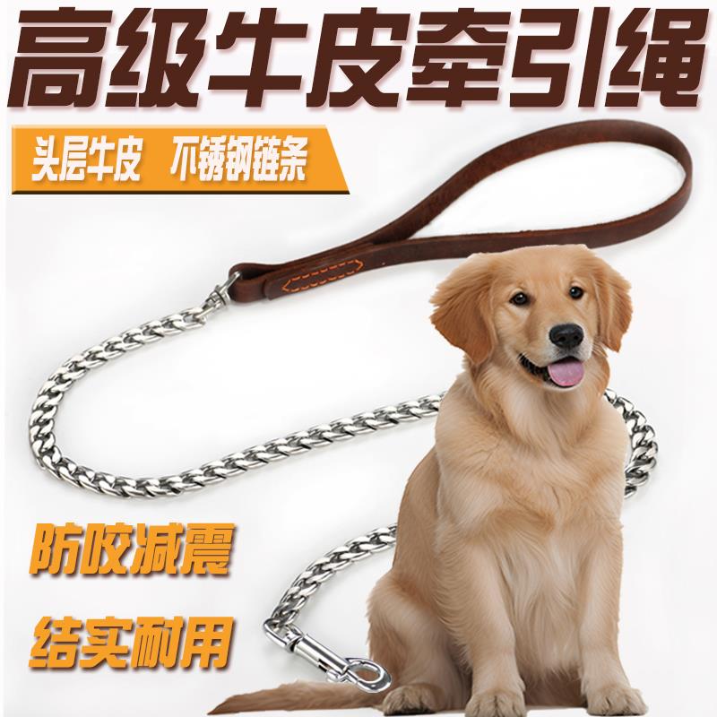 304不锈钢狗牵引绳防咬真皮遛狗铁链子小型中大型犬金毛柯基狗绳