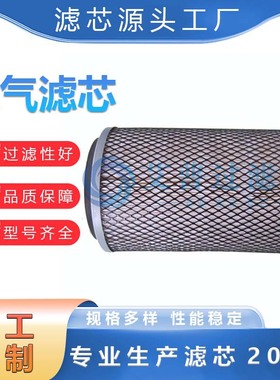 空气滤清器25100043-071用于空气系统 压缩机零件88291002-854