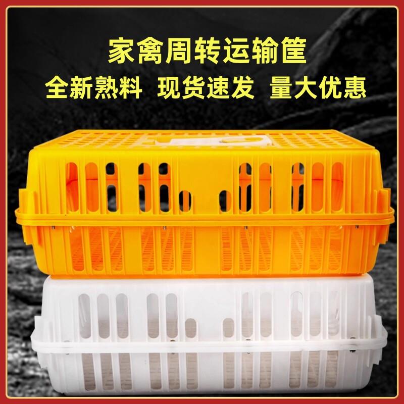 鸽笼熟胶加厚塑料家用笼子防摔专用养殖大号加强型兔筐家禽周转箱