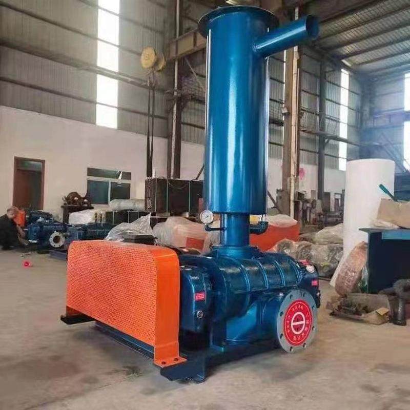 三叶罗茨鼓风机 水处理曝气罗茨风机 污水池供氧SR系列 口径50-35,五金/工具,风机/鼓风机/通风机,淘宝优惠券,粉丝福利购,淘宝优惠卷