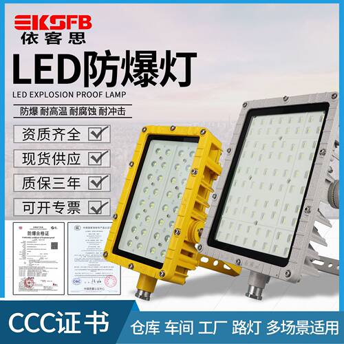 BFC8115LED泛光灯60W厂房隔爆型投光灯100W户外防水路灯式防爆灯