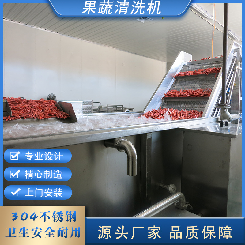 源头厂家商用果蔬清洗机果蔬谷物气泡清洗机萝卜去泥洗菜机