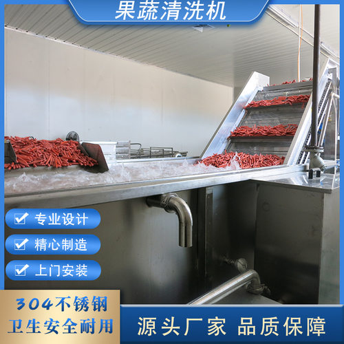 源头厂家商用果蔬清洗机果蔬谷物气泡清洗机萝卜去泥洗菜机