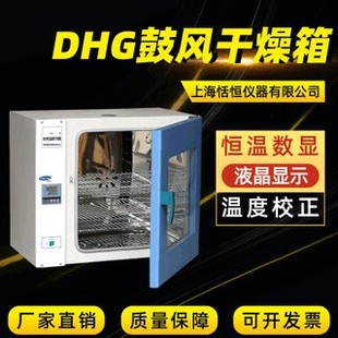 DHG系列电热恒温鼓风干燥箱干燥箱烘箱老化箱试验箱现货定做