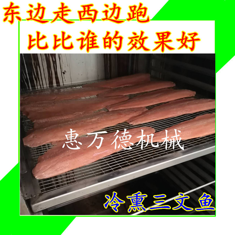 大马哈鱼三文鱼冷熏炉出口 大型海产品烟熏入味的炉子多少钱一台