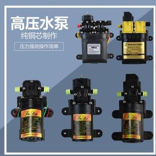 铜线压力电子泵12V电动农用电动喷雾器增压泵 电动喷雾器高压水泵