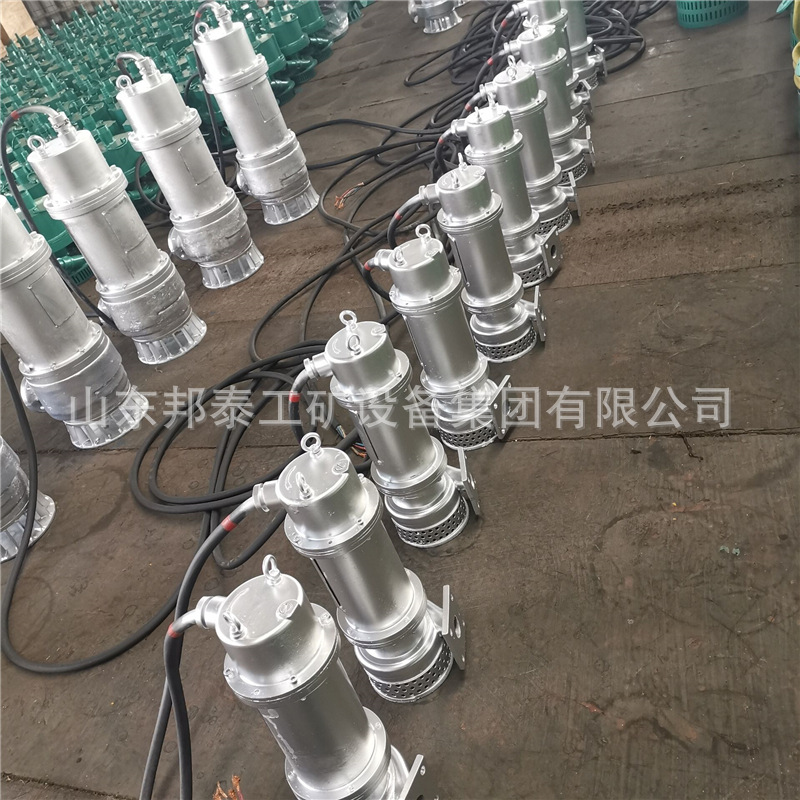 BQS50-150/2-45/N矿用隔爆型潜水排沙电泵 6660/1140v防爆排污泵