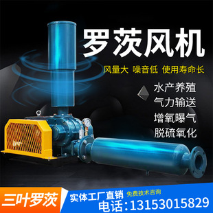 5.5kw三叶罗茨鼓风机DN80曝气增氧机污水处理水产养殖专用风机