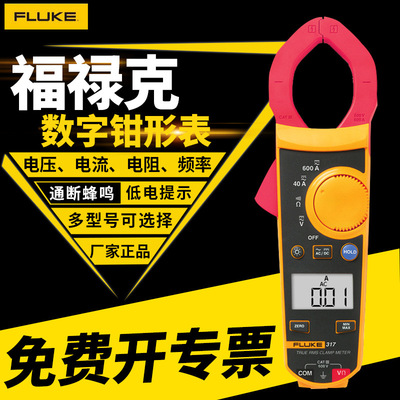 FLUKE福禄克F312钳型电流表 厂家正品F317数字交直流钳型表F319