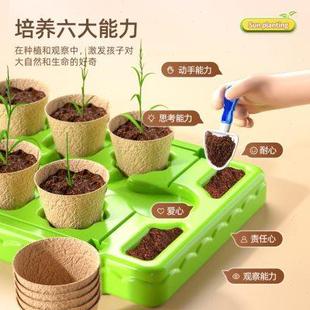 儿童种植小盆栽迷你植物生长幼儿园室内花园宝宝绿植观察草头娃娃