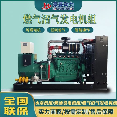 30kw沼气发电机50kw75KVA100KW120kw150KW200千瓦天燃气发电机组