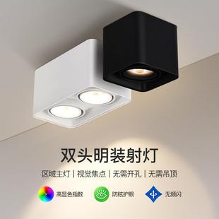 防眩筒灯双头格栅灯客厅无主灯盒子灯吸顶射灯 方形双头斗胆灯明装