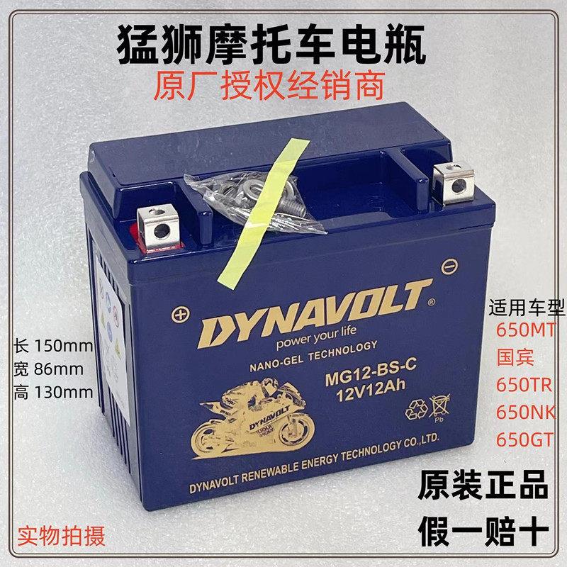 隆鑫无极电池300R 250RR AC GY 500R 650DS 525R 150GT摩托车电瓶