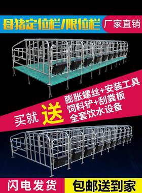 母猪定位栏带漏粪板猪用落地半限位栏加厚热镀锌养殖猪场圈围栏杆
