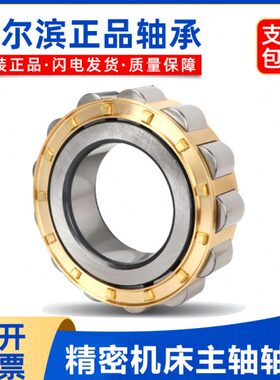 哈尔滨减速机轴承 RN 219 220 222 228 308 309 310 312 313 M