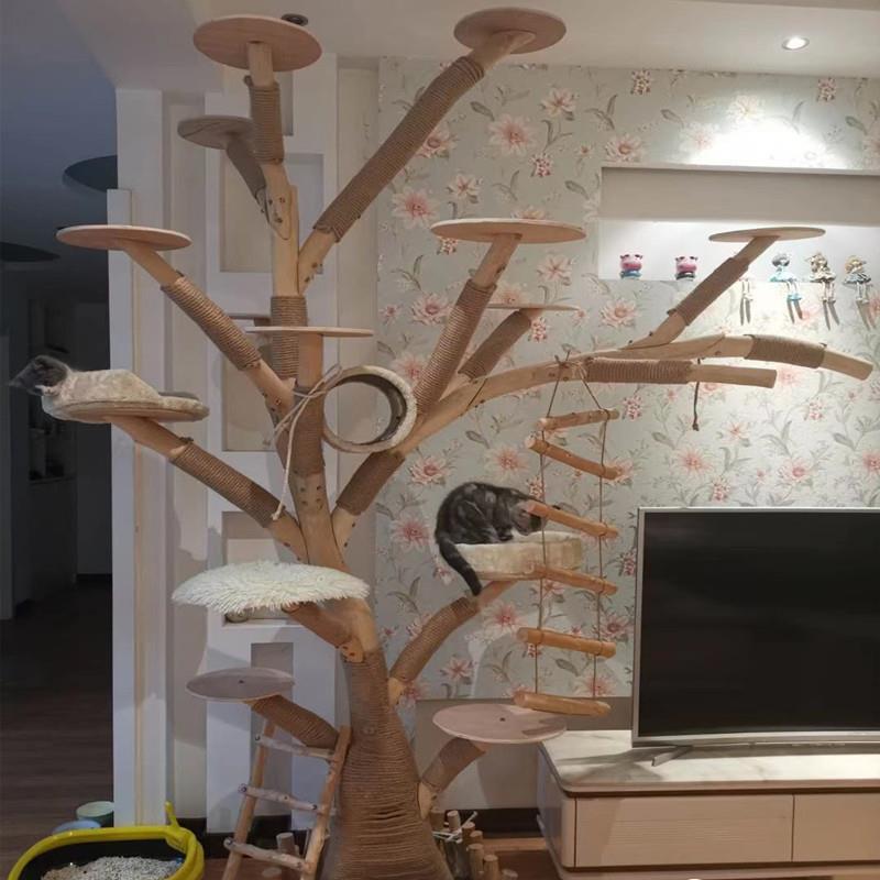 大型仿真树猫爬架猫窝猫屋一体真实树干不粘毛网红耐磨猫树