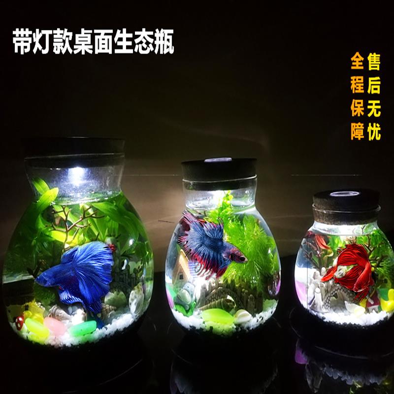 免换水鱼缸斗鱼生态瓶礼物微景观桌面创意摆件迷你小型造景鱼缸