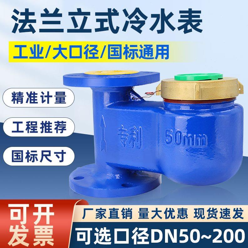 立式法兰水表上下进水工业大口径DN50 65 80 100耐高温防冻热水表