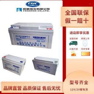 100阀控密封蓄电池12电池 消防储能直流屏光伏专用6