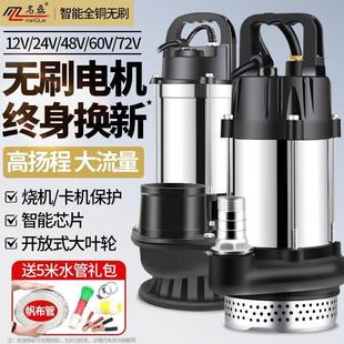 名磊家用直流无刷潜水泵48v60v电瓶车小水泵高扬程水井抽水机