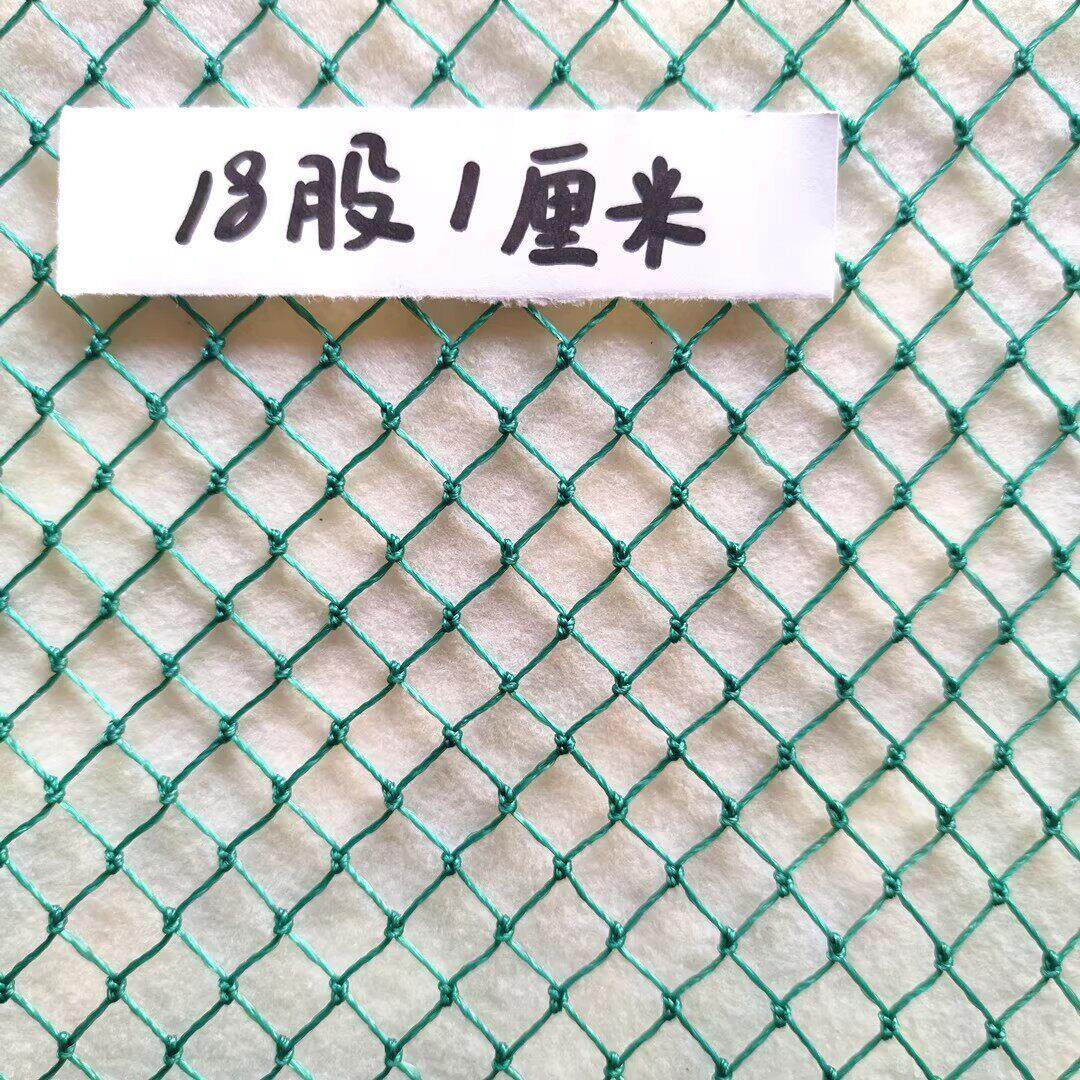 12股1厘米养鸡网渔网养殖网鱼网护栏网防护网菜园围栏网尼龙网子