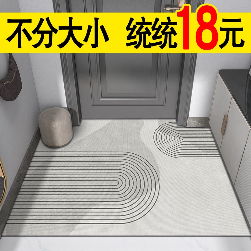 入户门地垫进门大门口门垫客厅家用高级进N户门垫子防滑地毯脚垫