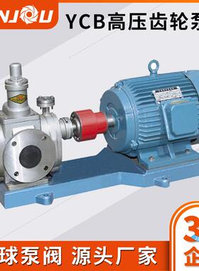 YCB低噪音高压力齿轮油泵YCB4-0.6圆弧齿轮泵现货供应