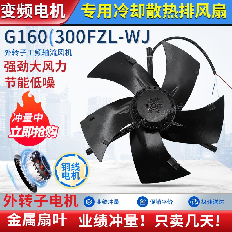 G160A/300FZL2/3-4WJ变频电机冷却通风机380V外转子散热排风扇