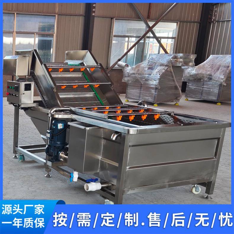 小油菜喷淋式洗菜机果蔬翻浪清洗设备圣女果高压气泡清洗机