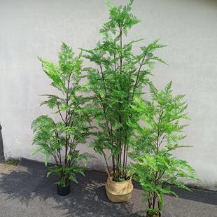 网红北欧仿真植物绿植大型花卉落地盆栽绿植假蕨树仿真树客厅假花
