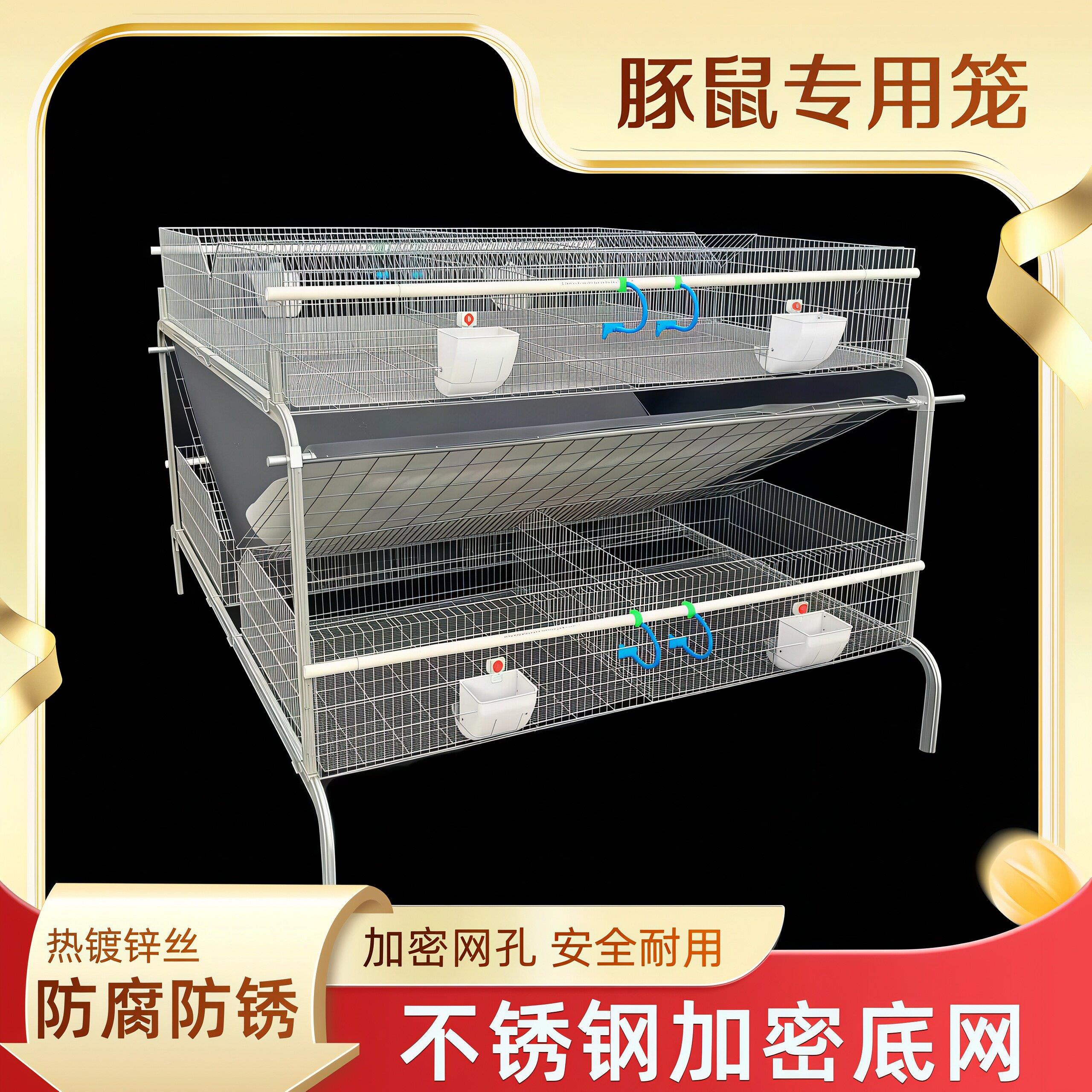 荷兰猪饲养笼豚鼠养殖场笼子规模化实验鼠养殖笼具自动清粪设备