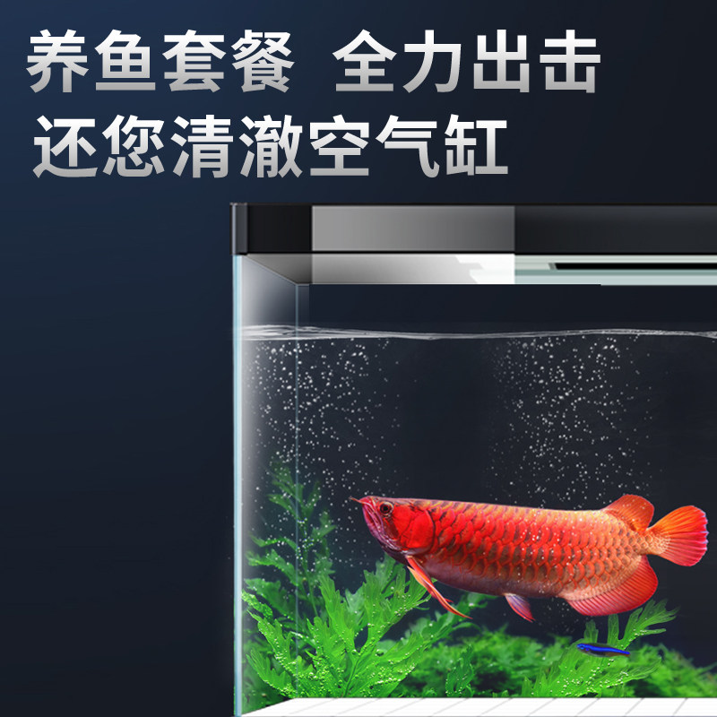 锦鲤鱼池硝化细菌消化活菌龙鱼养鱼用鱼缸净水除藻去苔剂绿藻5L升